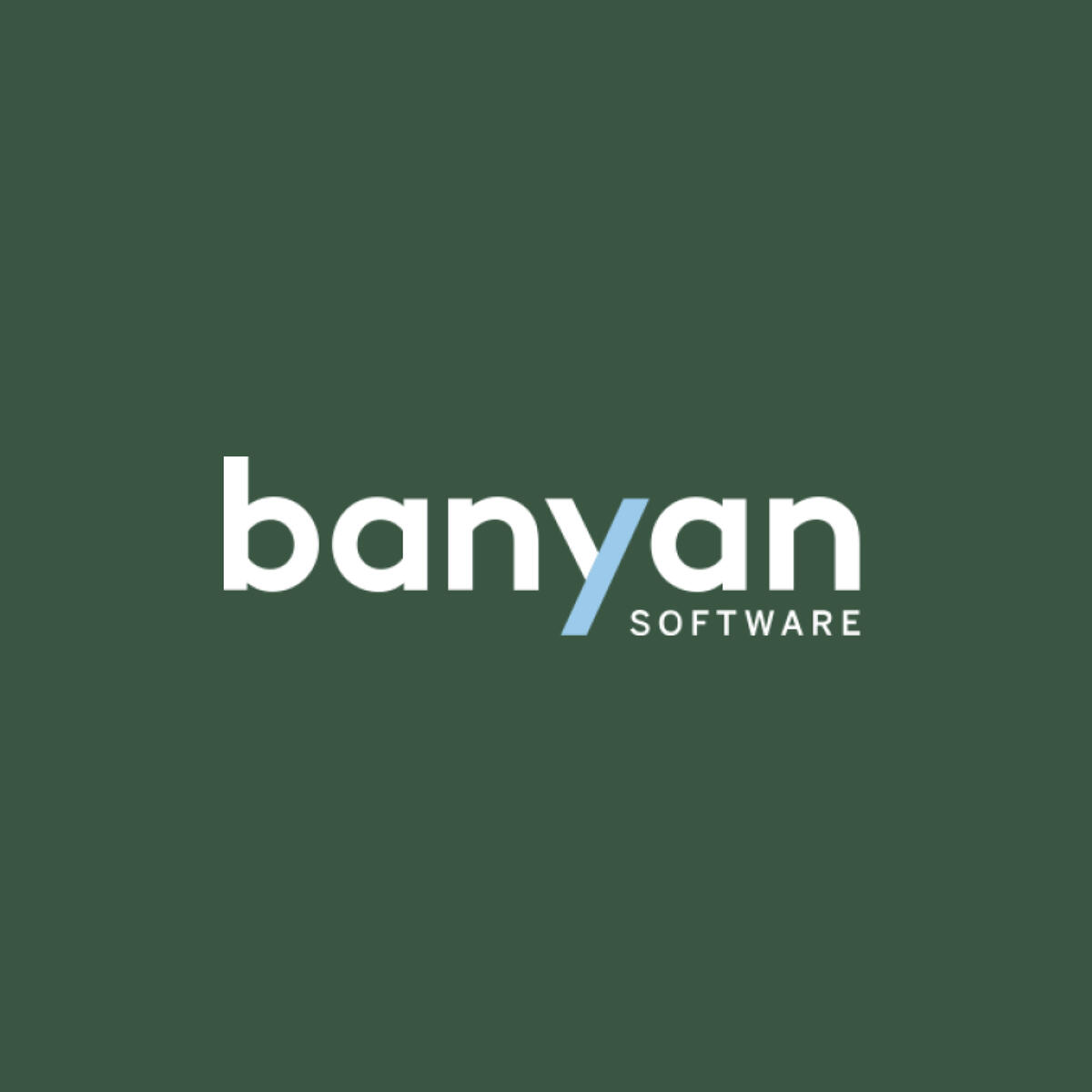 Logo Banyan Software